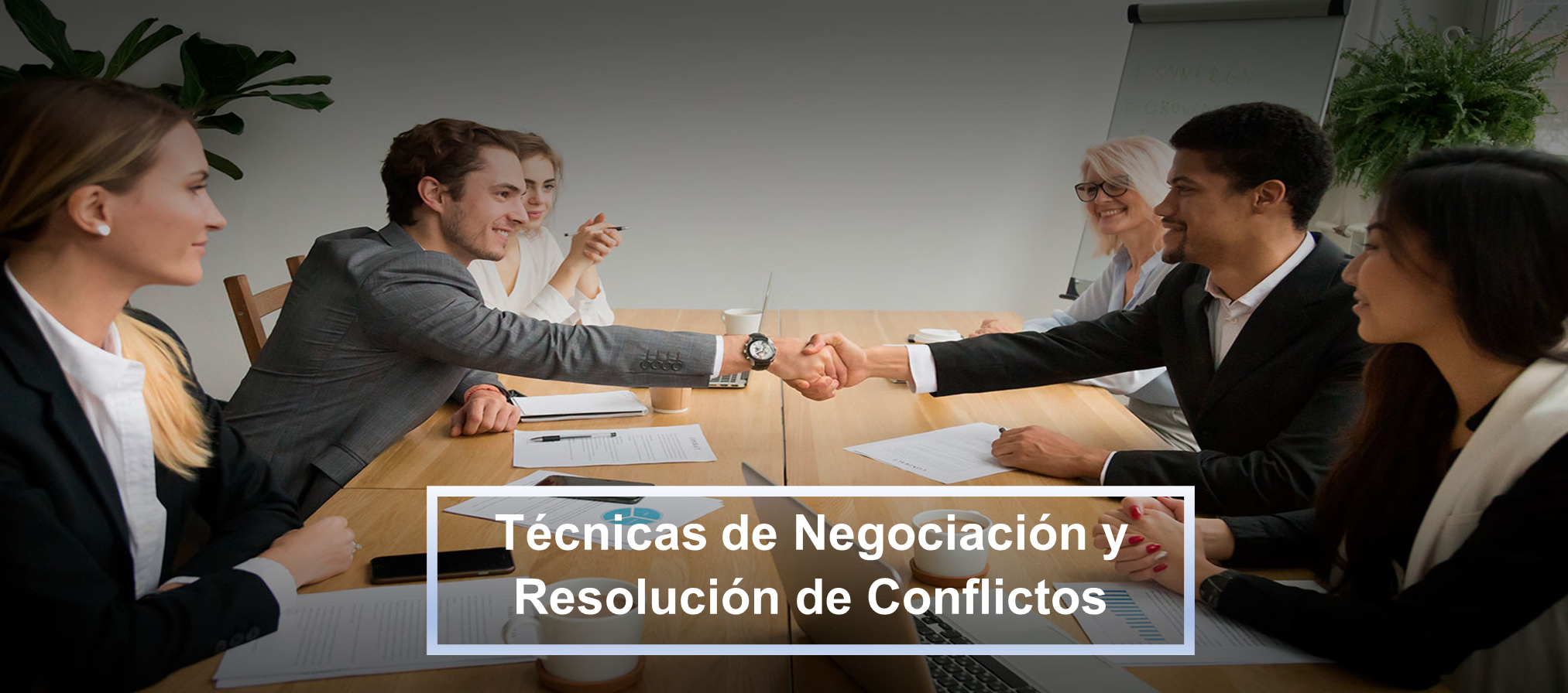 Negociaci�n y manejo de conflictos 